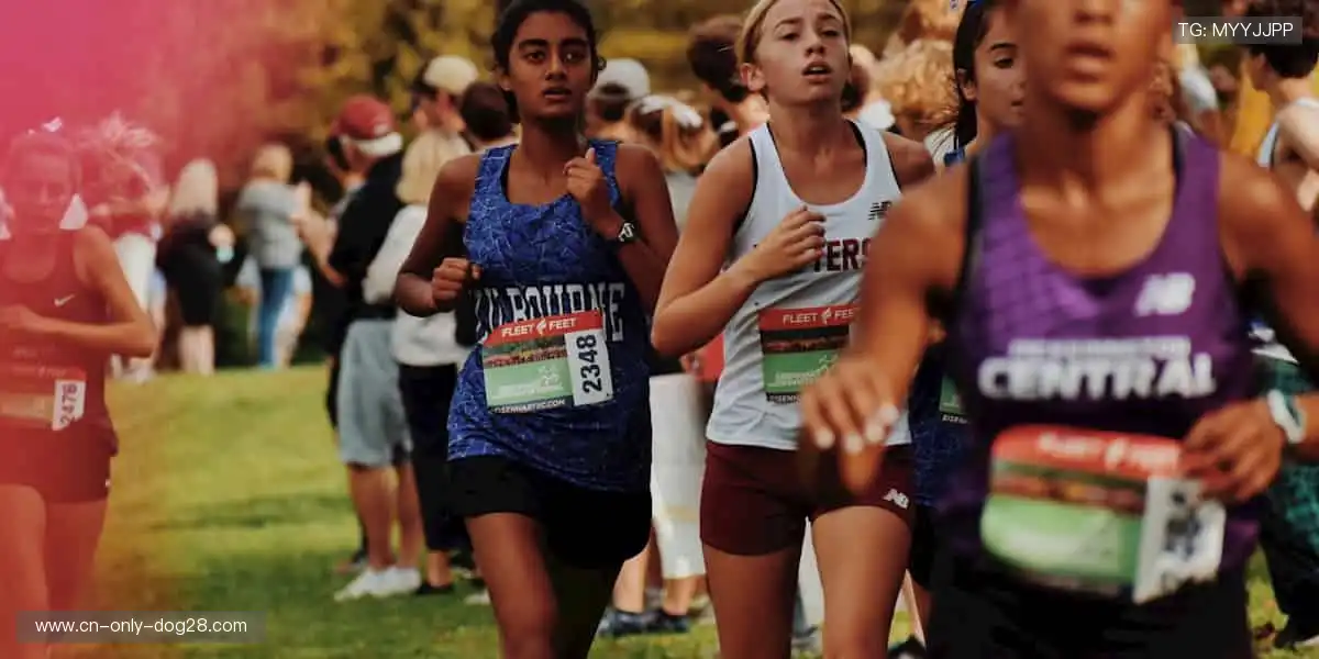 🏀 挑战极限，这里是梦想的起点！🌟